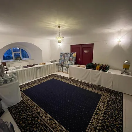 Hotel Ostrov 4*
