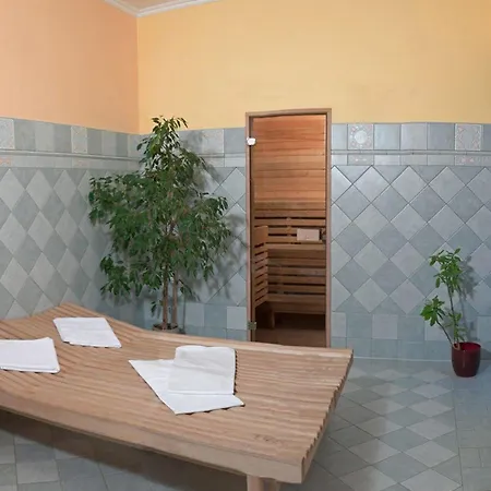 Hotel Ostrov 4*